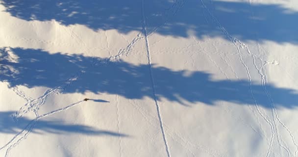 徒步旅行者空中漫步在积雪的风景4K — 图库视频影像