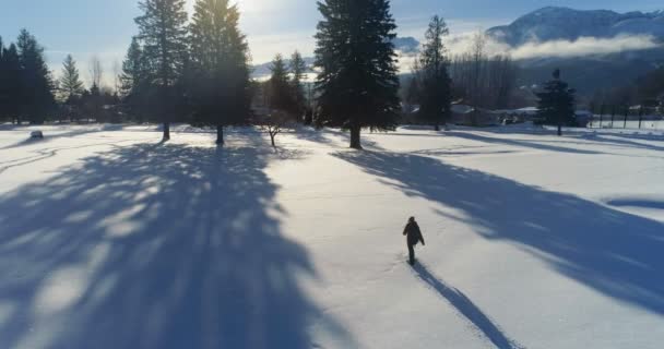 Drone Schot Van Wandelaar Wandelen Een Besneeuwde Landschap — Stockvideo