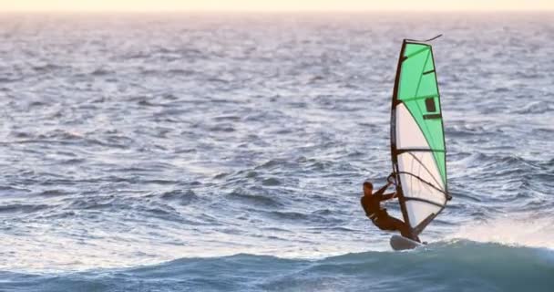 男性サーファー 夕暮れビーチでウィンド サーフィン — ストック動画
