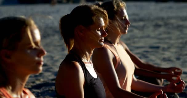 ビーチ で一緒にヨガを実行する女子バレーボール選手 — ストック動画