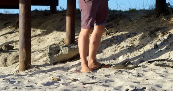 Planche Voile Masculine Debout Sur Plage Par Une Journée Ensoleillée — Video