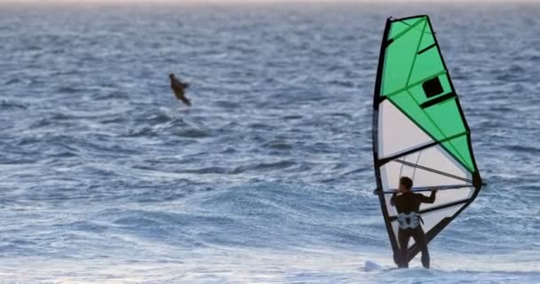 Hombre Surfista Windsurf Playa Atardecer — Vídeo de stock