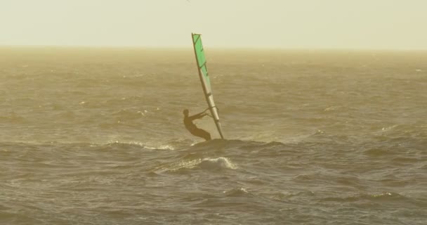 Surfistas Masculinos Windsurf Playa Día Soleado — Vídeo de stock