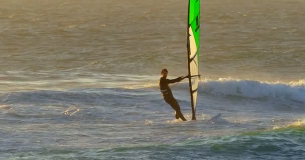 Αρσενικό Surfer Windsurfing Στην Παραλία Μια Ηλιόλουστη Ημέρα — Αρχείο Βίντεο