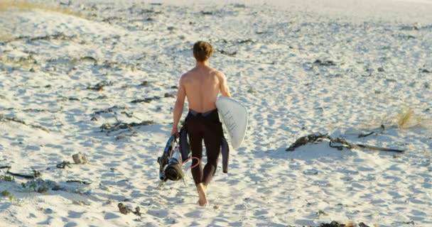 Hombre Surfista Caminando Con Tabla Surf Playa Día Soleado — Vídeos de Stock