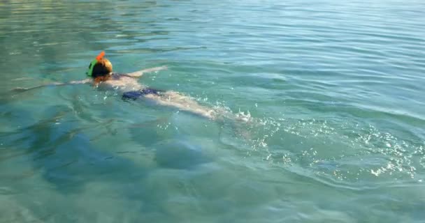 Frau Schwimmt Wasser Strand Einem Sonnigen Tag — Stockvideo