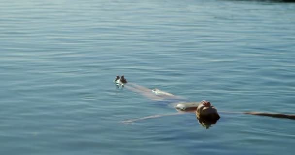 Young Woman Swimming Water Beach — Stock Video