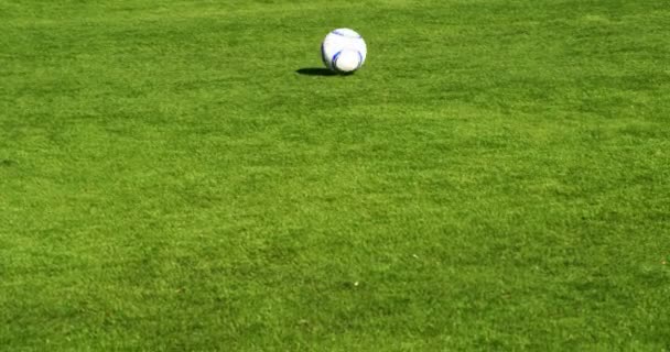 Entschlossener Fußballer Der Einen Schuss Aufs Spielfeld Abgibt — Stockvideo