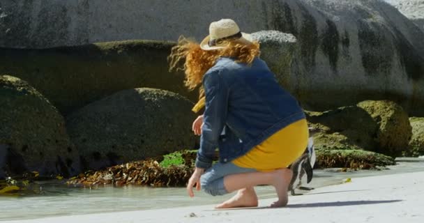 Женщина Смотрит Пингвина Пляже Солнечный День — стоковое видео