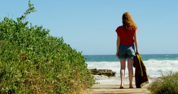 Вид Сзади Женщины Глядя Море Солнечный День — стоковое видео