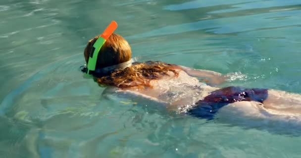 Mujer Nadando Agua Playa Día Soleado — Vídeos de Stock