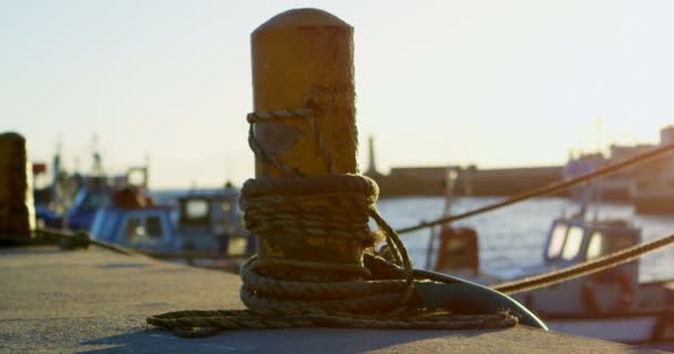 Boot Afgemeerd Bij Dock Een Zonnige Dag — Stockvideo