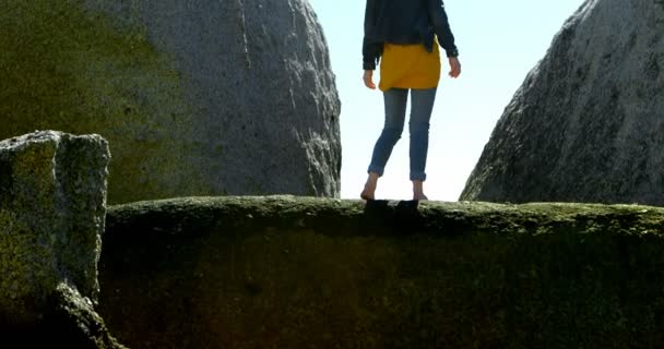 Rear View Woman Standing Rock Beach — Stock Video