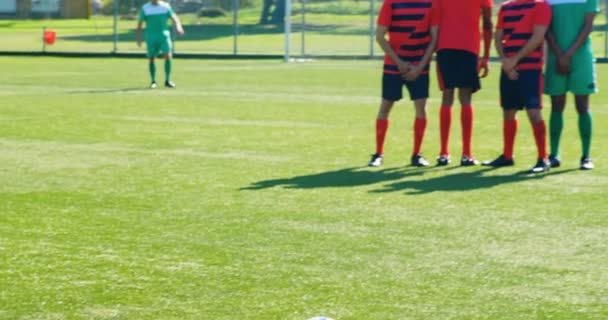 Güneşli Bir Günde Futbol Alanında Pratik Futbol Oyuncuları — Stok video