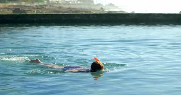 Mujer Nadando Agua Playa Día Soleado — Vídeos de Stock