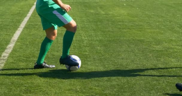 Παίκτες Που Παίζουν Ποδόσφαιρο Στο Πεδίο Μια Ηλιόλουστη Ημέρα — Αρχείο Βίντεο