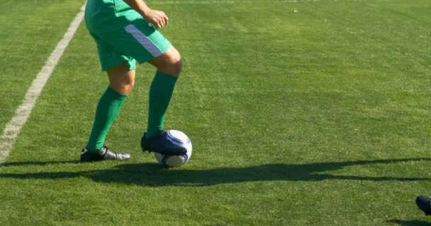 Jogadores Jogando Futebol Campo Dia Ensolarado — Vídeo de Stock