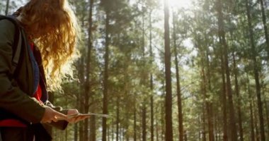 Güneşli bir günde 4 k harita ormandaki bakarak kadın