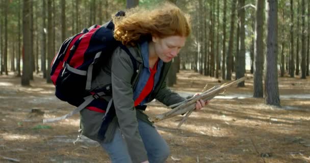 Молодая Женщина Собирает Деревянные Палочки Лесу — стоковое видео