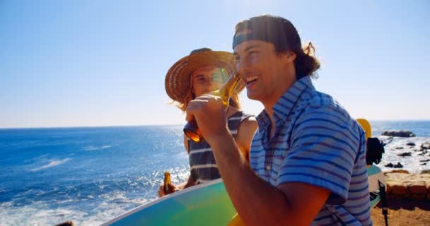 Male Friends Interacting Each Other Beach Sunny Day — Stock Video