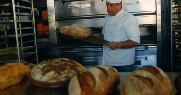 Chef Masculino Sacando Pan Del Horno Cocina — Vídeos de Stock