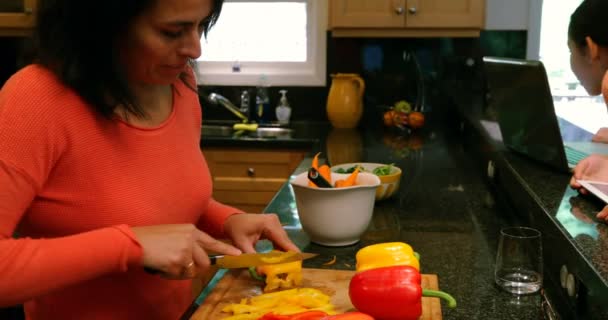 Crianças Usando Laptop Tablet Digital Enquanto Mãe Cortando Legumes Casa — Vídeo de Stock