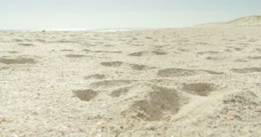 Sörfçü Sahilde güneşli bir günde 4 k çalıştıran surfboard ile 