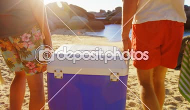 Güneşli bir günde 4 k buz kutusu sahilde yürüyüş erkek arkadaşlar