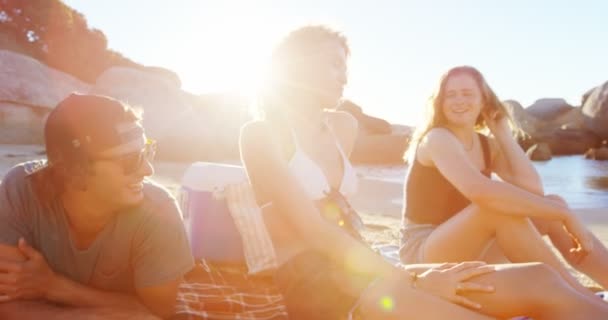 Groep Vrienden Ontspannen Het Strand Een Zonnige Dag — Stockvideo