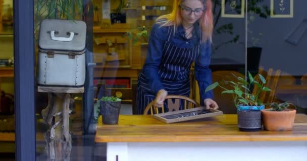 腕を組んで のカフェの入り口に立っている女性経営者 — ストック動画