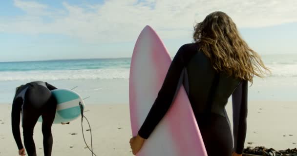 夫妇与冲浪板的后视图在海滩上漫步4K — 图库视频影像