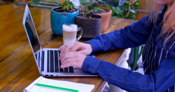 Female Owner Having Cold Coffee While Working Laptop Cafe — Stock Video