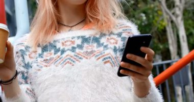Genç kadın yönetici cep telefonu kullanma office 4 k