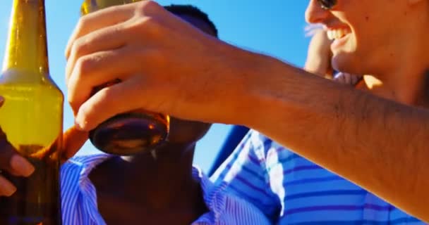 Grupa Przyjaciół Opiekania Butelek Piwa Beach Słoneczny Dzień — Wideo stockowe
