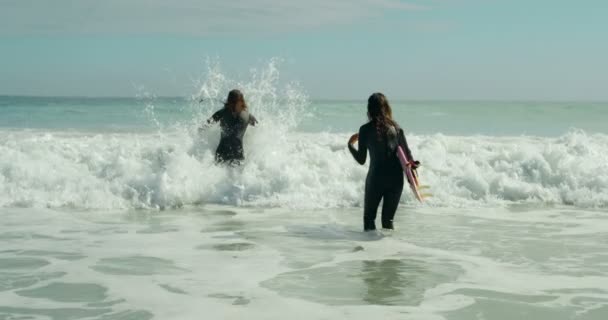 Rückansicht Des Paares Das Spaß Meer Hat — Stockvideo