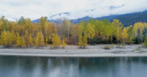 Foresta Autunnale Catene Montuose Lungo Lago Durante Inverno — Video Stock