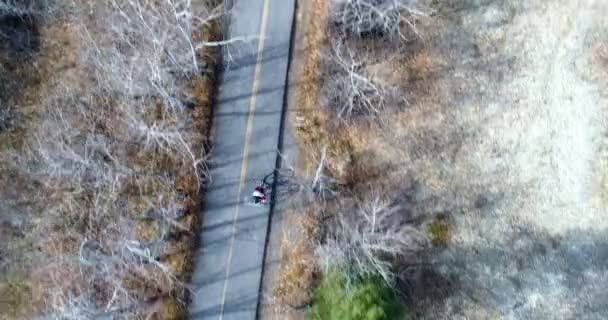 Aérea Ciclista Bicicleta Través Una Carretera Campo Bosque — Vídeos de Stock