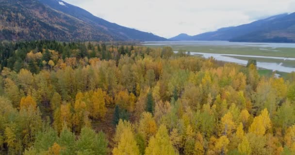 美しい日 秋の森と山の風光明媚なビュー — ストック動画