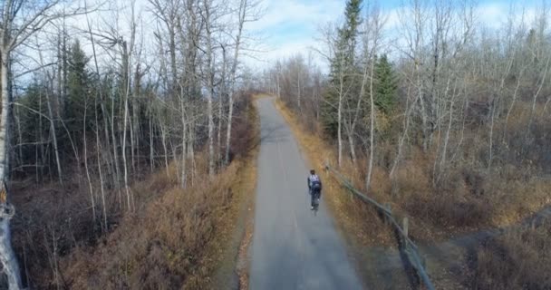 Ciclista Bicicleta Através Uma Estrada Rural Floresta — Vídeo de Stock