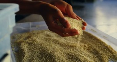 Restoranda 4 k mutfakta tahıl kontrol Şef