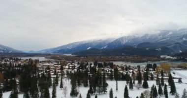Güzel ağaçlar ve 4k kışın dağ havadan görünümü