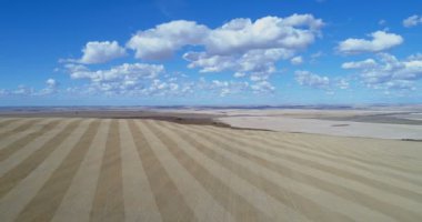 Kırsal kesimde hasat için tarım alanının havadan görünümü