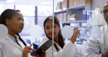 Takım laboratuvar 4 k cam duvar tartışırken bilim adamı