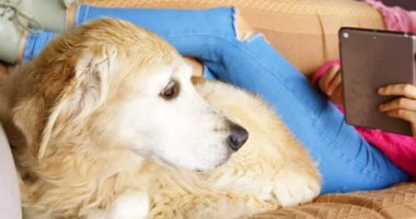 Kadın köpeğini dijital tablet kanepe ev 4 k kullanırken okşayarak