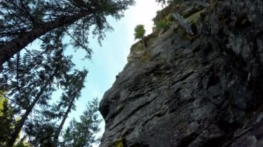 4 k ormandaki bir uçurum rock tırmanma düşük açılı görünümü