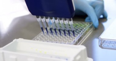 Çoklu kanal pipet laboratuvar 4 k kullanarak bilim adamı Close-up