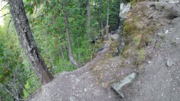 Alpinista Corajoso Escalando Penhasco Floresta — Vídeo de Stock