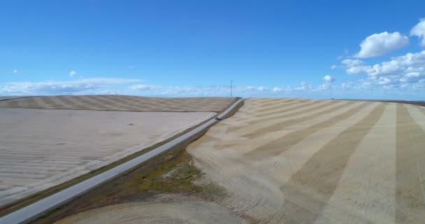 Vista Aérea Del Coche Que Monta Carretera Campo — Vídeo de stock