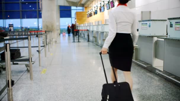 Préposé Enregistrement Des Compagnies Aériennes Marchant Avec Des Bagages Aérogare — Video