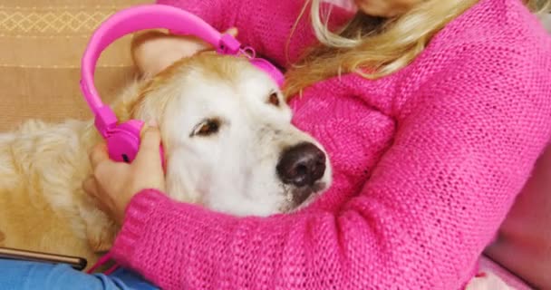 Close Woman Mounting Headphones Dogs Ears Sofa — Stock Video